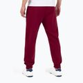 Spodnie męskie Pitbull Trackpants Small Logo Terry Group burgundy 2