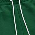 Spodnie męskie Pitbull Trackpants Tape Logo Terry Group green 4