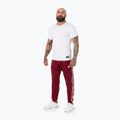 Spodnie męskie Pitbull Trackpants Tape Logo Terry Group burgundy 2