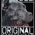 Bluza męska Pitbull Origin Hooded black 7