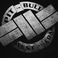 Bluza męska Pitbull Steel Logo Hooded black 4
