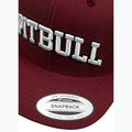 Czapka z daszkiem Pitbull Snapback Pitbull YP Classic Premium burgundy 4