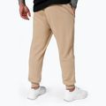 Spodnie męskie Pitbull Trackpants Terry Group sand 3