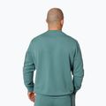 Bluza męska Pitbull Explorer Crewneck mint 3