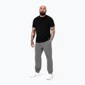 Spodnie męskie Pitbull Lancaster Jogging grey 2