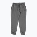 Spodnie męskie Pitbull Lancaster Jogging grey 4