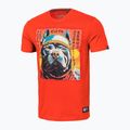 Koszulka męska Pitbull Fuji red 4