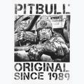 Koszulka męska Pitbull Drive white 6