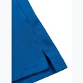 Koszulka polo męska Pitbull Polo Pique Stripes Regular royal blue 9