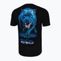 Koszulka męska Pitbull In Blue black 5