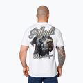 Koszulka męska Pitbull Original white 3