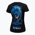 Koszulka męska Pitbull In Blue 214093900000 black 2