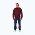 Bluza męska Pitbull Small Logo Crewneck burgundy 2