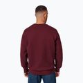 Bluza męska Pitbull Small Logo Crewneck burgundy 3