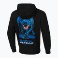 Bluza męska Pitbull Hooded In Blue black 2