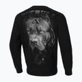 Bluza męska Pitbull Crewneck Born In 1989 black 2