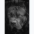 Bluza męska Pitbull Hooded Born In 1989 black 4