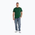 Koszulka męska Pitbull Small Logo leaf green 2