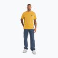 Koszulka męska Pitbull Small Logo pale yellow 2