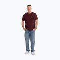 Koszulka męska Pitbull Small Logo dark burgundy 2