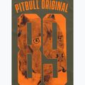 Koszulka męska Pitbull Eighty Nine Dog dark olive 4