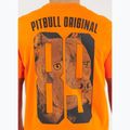 Koszulka męska Pitbull Eighty Nine Dog orange 4