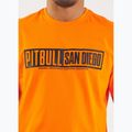 Koszulka męska Pitbull Eighty Nine Dog orange 5