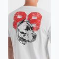 Koszulka Pitbull Dog 89 white 4