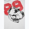 Koszulka Pitbull Dog 89 white 9