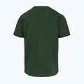 Koszulka męska Pitbull Small Logo green 8