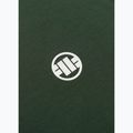 Koszulka męska Pitbull Small Logo green 10