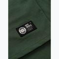 Koszulka męska Pitbull Small Logo green 12
