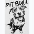 Koszulka damska Pitbull Puppy 2 white 8