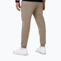 Spodnie męskie Pitbull Dogwood Track Pants dark sand 2