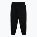 Spodnie męskie Pitbull Dogwood Track Pants black 2