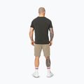 Spodenki męskie Pitbull Dogwood Sport dark sand 3