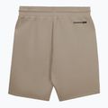 Spodenki męskie Pitbull Dogwood Sport dark sand 2