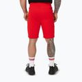 Spodenki męskie Pitbull Dogwood Sport fluo/red 4