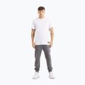 Spodnie męskie Pitbull Sampson Track Pants graphite 2