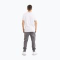 Spodnie męskie Pitbull Sampson Track Pants graphite 4