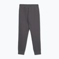 Spodnie męskie Pitbull Sampson Track Pants graphite 8