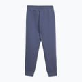 Spodnie męskie Pitbull Sampson Track Pants navy jeans 2