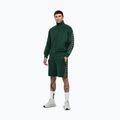 Bluza męska Pitbull Track Jacket Powers bottle green 2
