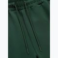 Spodnie męskie Pitbull Track Pants Powers bottle green 3