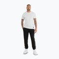 Spodnie męskie Pitbull Track Pants Powers black 2