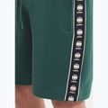 Spodenki męskie Pitbull Track Shorts Powers bottle green 3