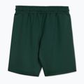 Spodenki męskie Pitbull Track Shorts Powers bottle green 2