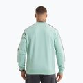 Bluza męska Pitbull Tape Nugget Crewneck Sweatshirt light mint 3