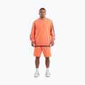 Bluza męska Pitbull Tape Nugget Crewneck Sweatshirt bright salmon 2