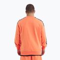 Bluza męska Pitbull Tape Nugget Crewneck Sweatshirt bright salmon 3